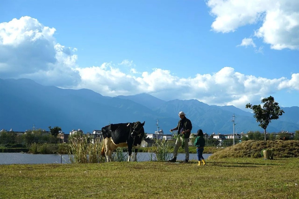 Ông bố trẻ về quê mở trang trại hàng trăm ha trồng rau, nuôi cá - 5