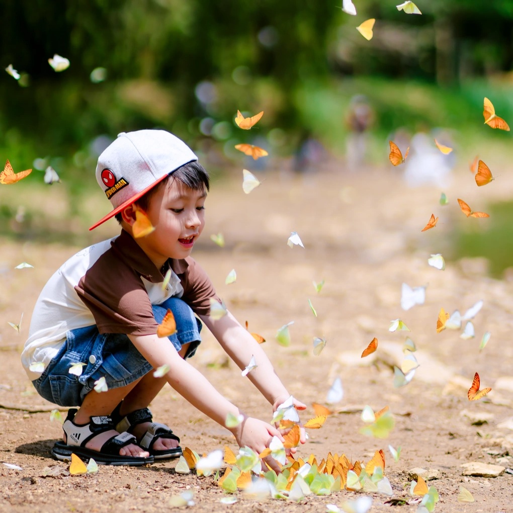 Cây ráy khổng lồ ở rừng Cúc Phương khiến khách Hà Nội như người tí hon - 3 Cây ráy khổng lồ ở rừng Cúc Phương khiến khách Hà Nội như người tí hon - 3