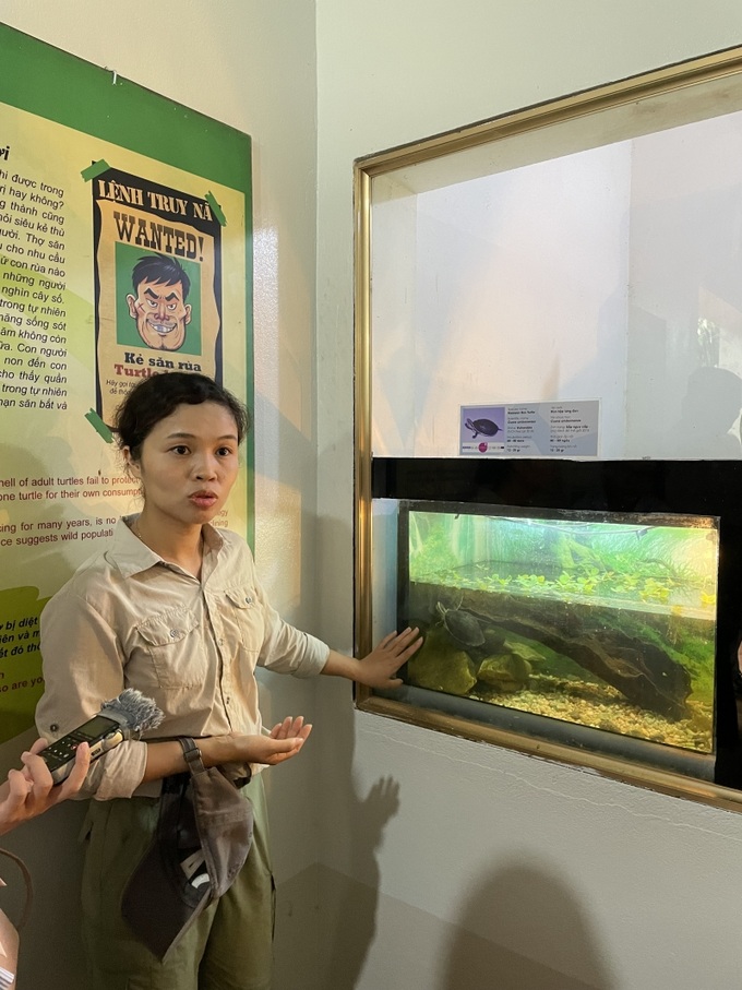 Nhân viên Trung tâm Cứu hộ Rùa (ATP) giới thiệu với các phóng viên về đặc điểm sinh sống của các loài rùa nước ngọt đang có nguy cơ tuyệt chủng tại Việt Nam.