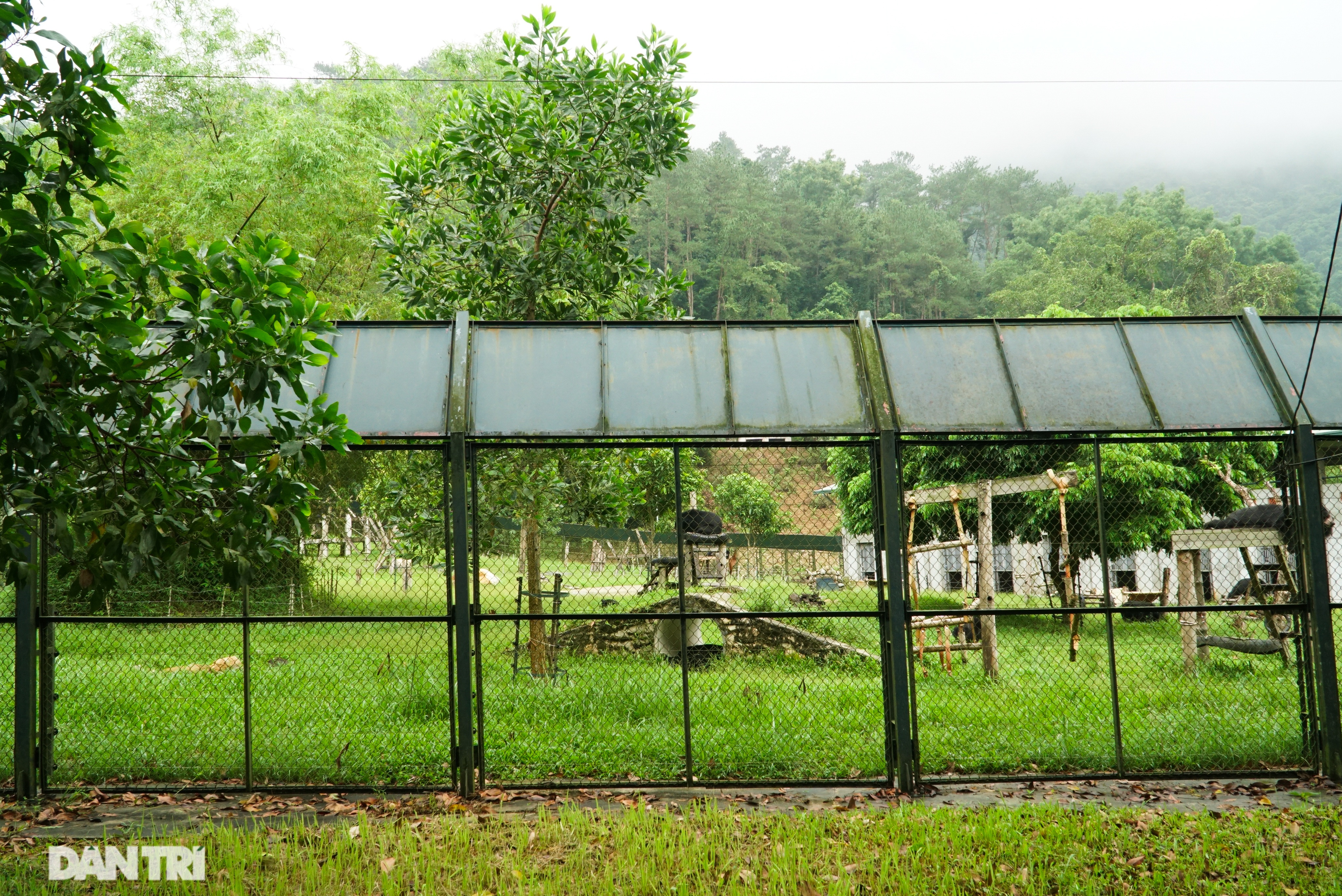 Cuộc sống ít người biết của gần 200 chú gấu tại thung lũng Chắt Dậu - 14 Cuộc sống ít người biết của gần 200 chú gấu tại thung lũng Chắt Dậu - 14