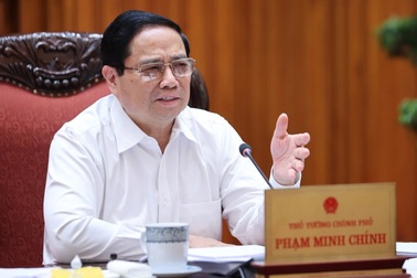 Thường trực Chính phủ bàn làm luật phòng chống ma túy, ngăn chặn hàng giả