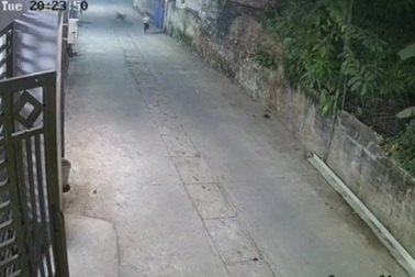 Tình huống nguy hiểm của bé gái nhưng ai xem cũng phì cười