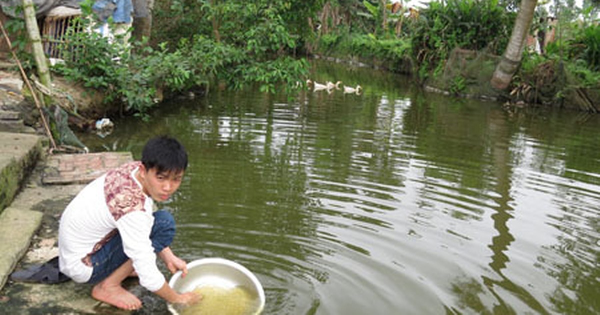 dantri.com.vn