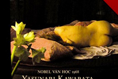 Những thể nghiệm nhân sinh từ Người đẹp ngủ mê