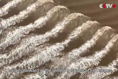 Sóng triều hình vảy cá hiếm gặp ở sông Tiền Đường, khách ngắm nhìn xuýt xoa