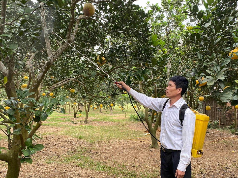 Trung bình 1,5 tháng anh phun 1 lần.jpg