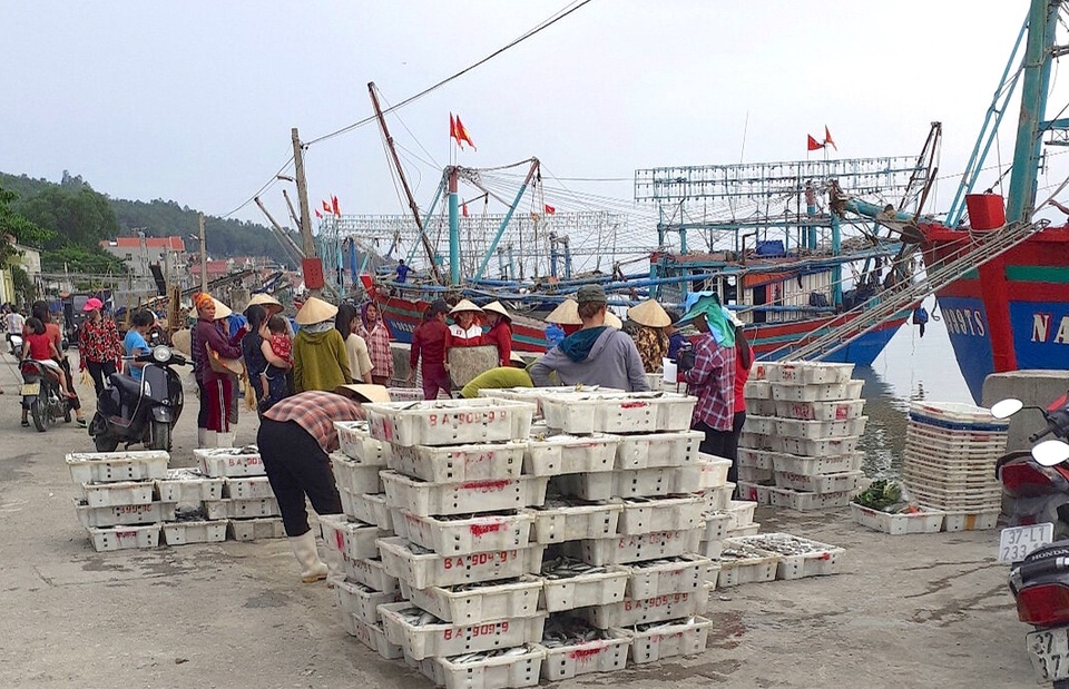 Hái lộc biển nơi cửa lạch - 8 Hái lộc biển nơi cửa lạch - 8