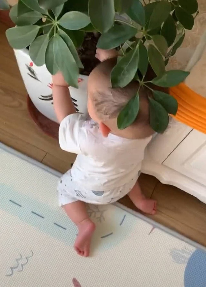 Mẹ mải chơi điện thoại để con trai bò đi ăn đất, cô dở khóc dở cười nhưng người xem lại sốt sắng khuyên đi khám bác sĩ, bởi có khả năng bé mắc phải một chứng bệnh kỳ lạ và nguy hiểm - Ảnh 2. Mẹ mải chơi điện thoại để con trai bò đi ăn đất, cô dở khóc dở cười nhưng người xem lại sốt sắng khuyên đi khám bác sĩ, bởi có khả năng bé mắc phải một chứng bệnh kỳ lạ và nguy hiểm - Ảnh 2.