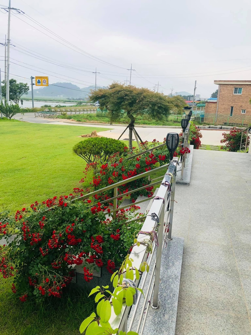 Nhà vườn 2.000m2 giữa cảnh sơn thủy hữu tình của nàng dâu Việt ở Hàn Quốc - 2