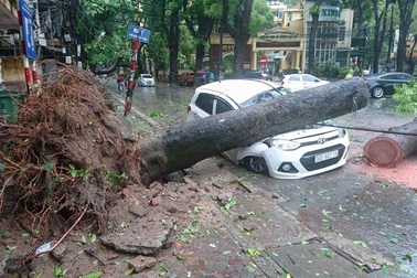 Bão Mirinae làm chết 2 người, hơn 4.000 nhà tốc mái