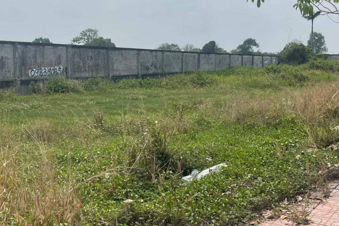 Giá đất Củ Chi tăng chóng mặt, nhà đầu tư cẩn thận ôm bom - 5