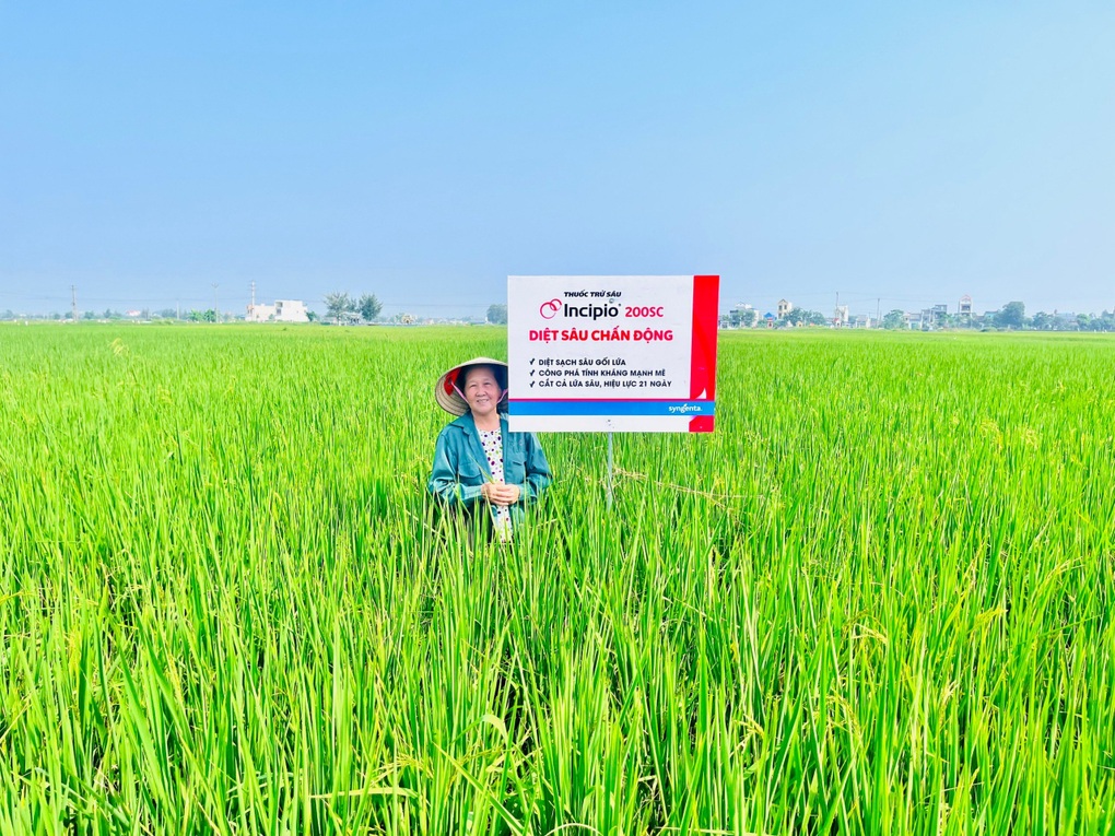 Syngenta ra mắt sản phẩm giải quyết mối lo sâu cuốn lá gối lứa ở miền Bắc - 4 Syngenta ra mắt sản phẩm giải quyết mối lo sâu cuốn lá gối lứa ở miền Bắc - 4