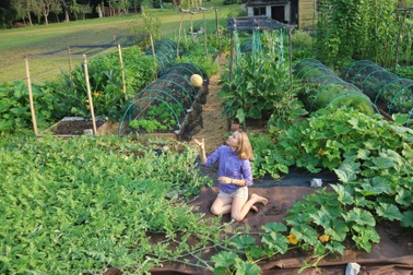 Cặp vợ chồng "bỏ phố về quê" làm vườn trồng hàng trăm loại nông sản sạch