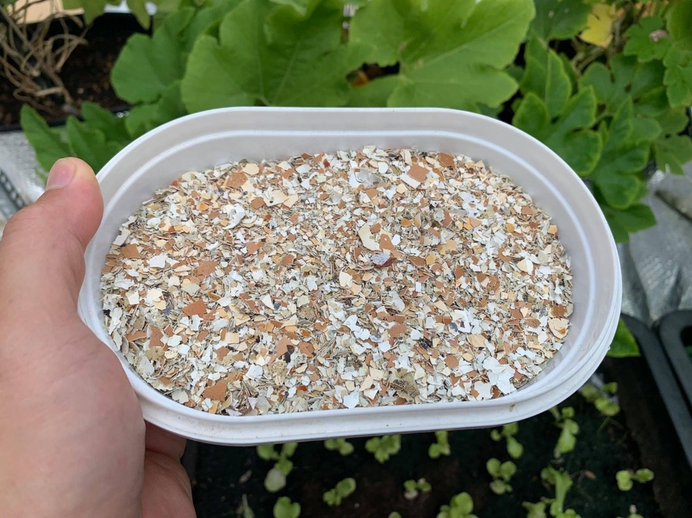8 Lợi ích bất ngờ từ vỏ trứng các bà nội trợ nên biết - 4 8 Lợi ích bất ngờ từ vỏ trứng các bà nội trợ nên biết - 4