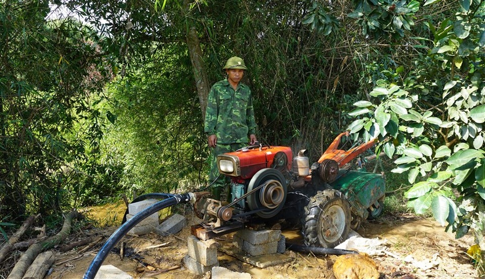 Vựa cây ngàn tỷ thất thu nặng vì đợt nắng nóng kỷ lục - 7 Vựa cây ngàn tỷ thất thu nặng vì đợt nắng nóng kỷ lục - 7