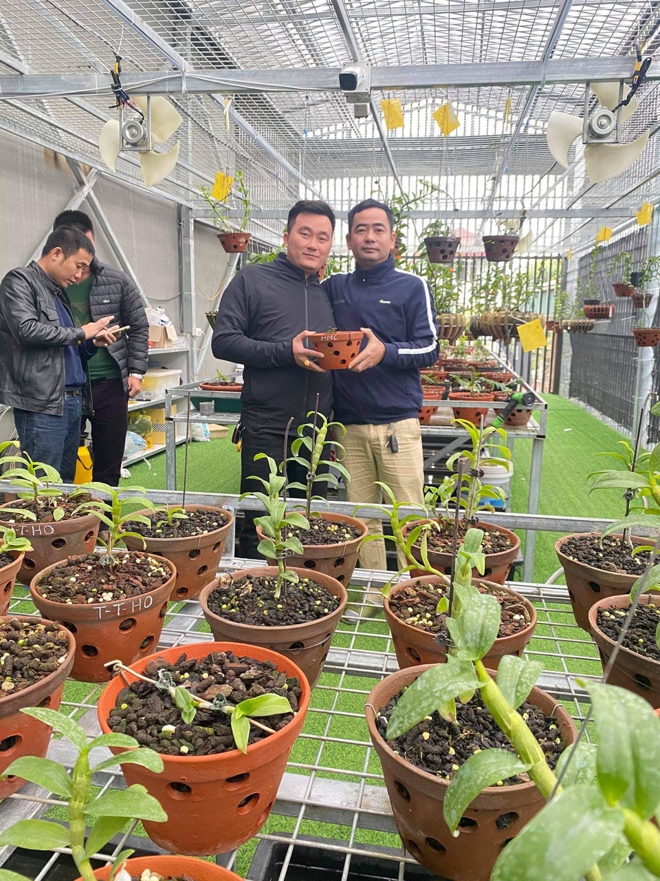 Nghệ nhân Đoàn Văn Thái chia sẻ cách chăm sóc hoa lan vào mùa đông cho người mới chơi lan - 2 Nghệ nhân Đoàn Văn Thái chia sẻ cách chăm sóc hoa lan vào mùa đông cho người mới chơi lan - 2