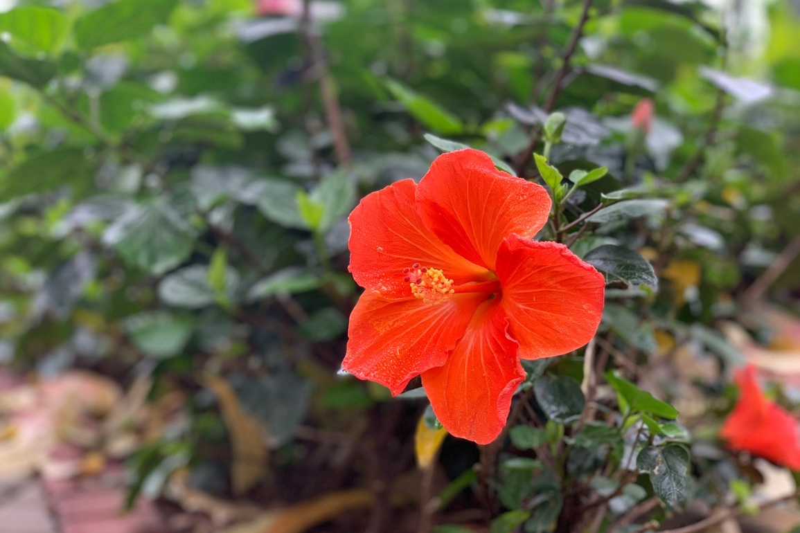 Người thứ ba hối hận vì đạp lên tất cả kết hôn với nhân tình - 1 Người thứ ba hối hận vì đạp lên tất cả kết hôn với nhân tình - 1