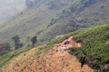 Cụ bà bị lợn rừng tấn công nhập viện 