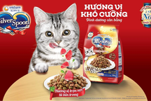 Silver Spoon - Giải pháp cho mèo biếng ăn, kén ăn từ Nhật Bản