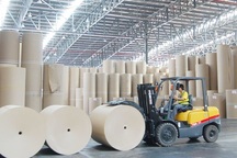 Lo nhà máy giấy tỷ đô của Trung Quốc "bức tử" sông Hậu