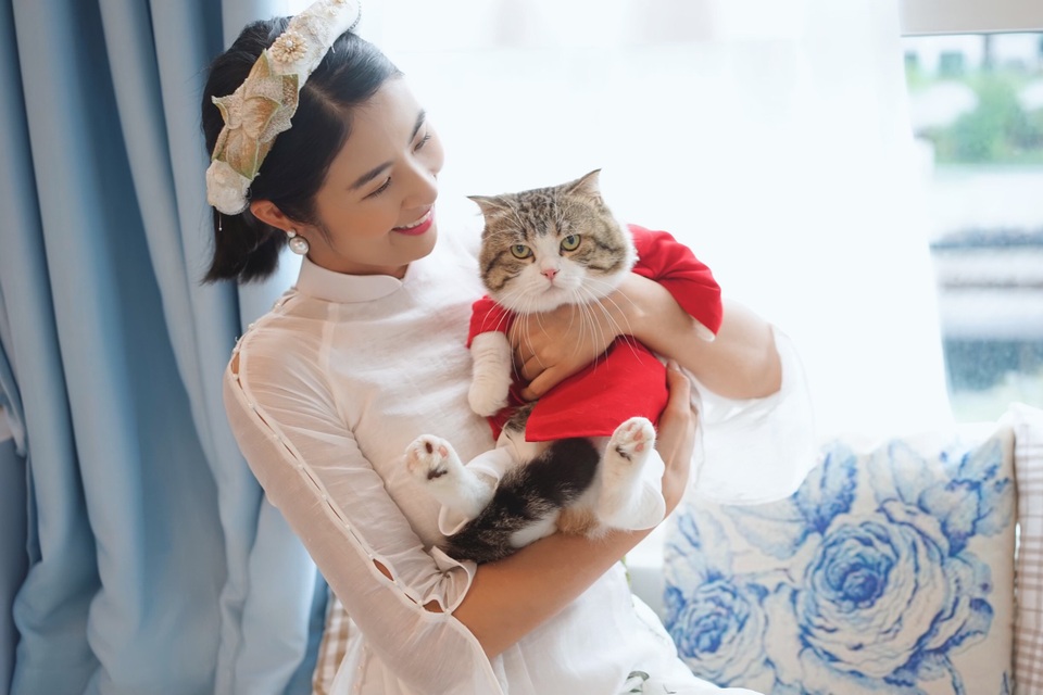 Hoa hậu Ngọc Hân làm “đám cưới thế kỷ” cho... mèo - 2 Hoa hậu Ngọc Hân làm “đám cưới thế kỷ” cho... mèo - 2