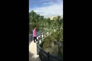 Cựu chiến binh quê lúa kể chuyện làm giàu.