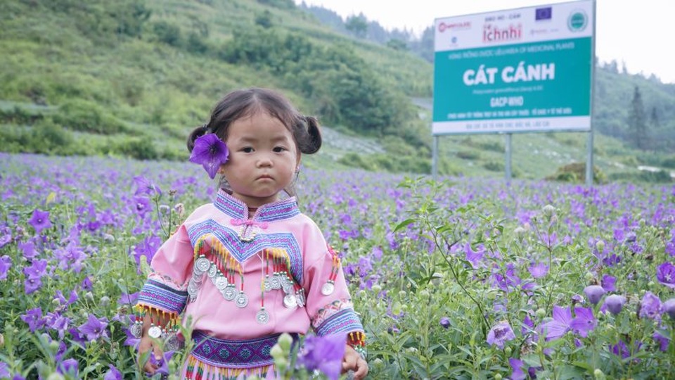 Chăm trẻ bị cảm, ho tại nhà mau khỏi trong mùa dịch - 2 Chăm trẻ bị cảm, ho tại nhà mau khỏi trong mùa dịch - 2