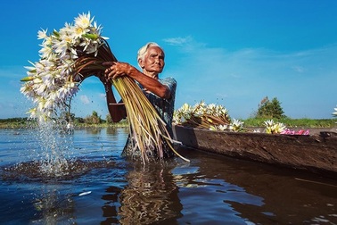 Cuộc sống thanh bình làng quê Việt lên báo Anh
