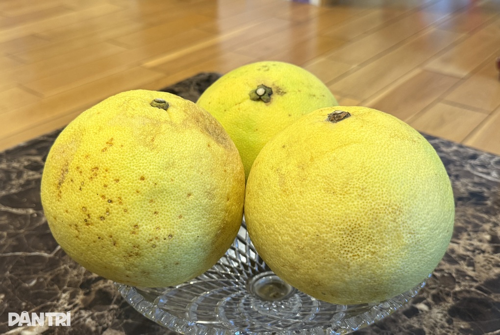 Die besten Früchte der Welt werden in ganz Vietnam angebaut - 2 Loại quả trong nhóm tốt nhất thế giới được trồng khắp Việt Nam - 2