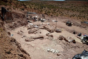 Loài khủng long mới được phát hiện là “sinh vật lớn nhất từng đi lại trên Trái Đất”