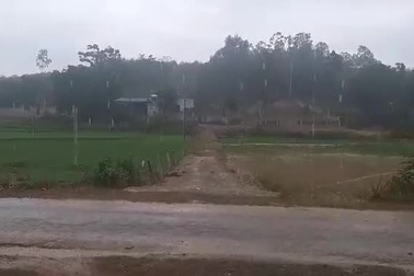 Cơn mưa quý hơn vàng giải cứu người dân sau những ngày nắng nóng.