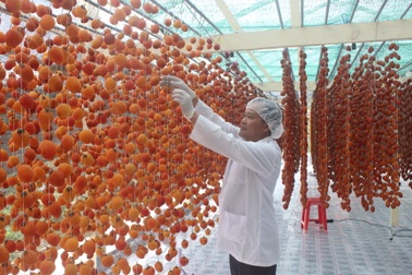 Đặc sản Đà Lạt được gắn mã vạch để phân biệt với hàng Trung Quốc