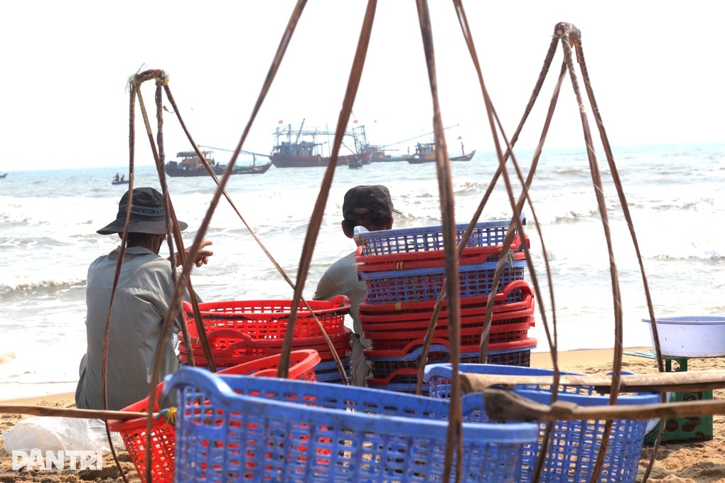 Những phu cá oằn lưng, mỏi gối gánh cá thuê dưới trời nắng gắt - 1 Những phu cá oằn lưng, mỏi gối gánh cá thuê dưới trời nắng gắt - 1