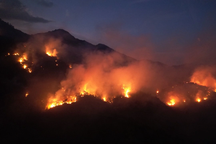 Bùng phát điểm cháy mới tại Vườn Quốc gia Hoàng Liên, hơn 600 người dập lửa