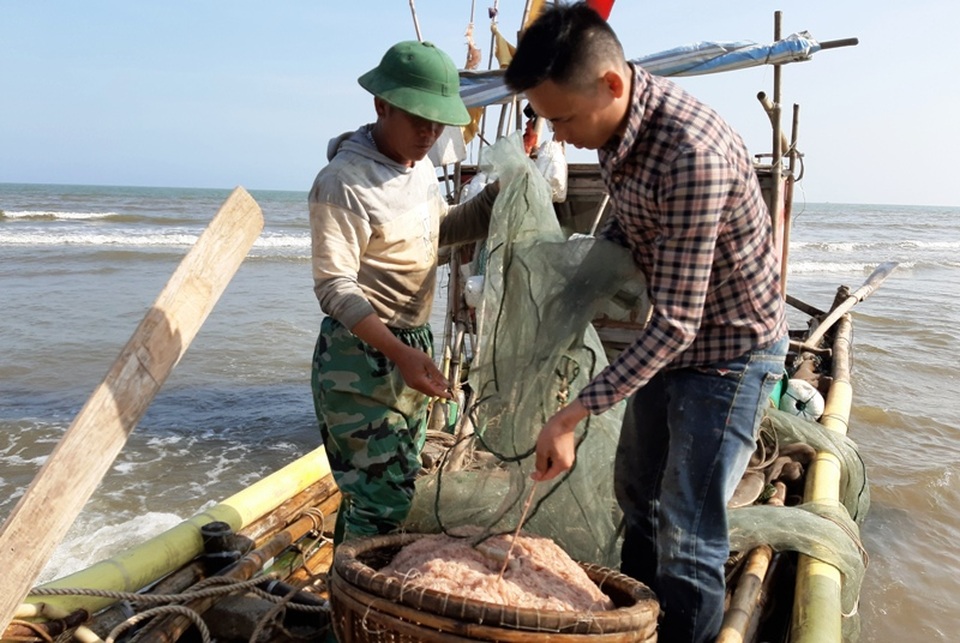 Ngư dân xứ Thanh trúng đậm lộc biển những ngày cuối năm - 14 Ngư dân xứ Thanh trúng đậm lộc biển những ngày cuối năm - 14