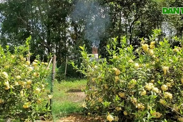 Chuyện lạ ở nơi "mở cửa" lên trời gần 500 năm trước