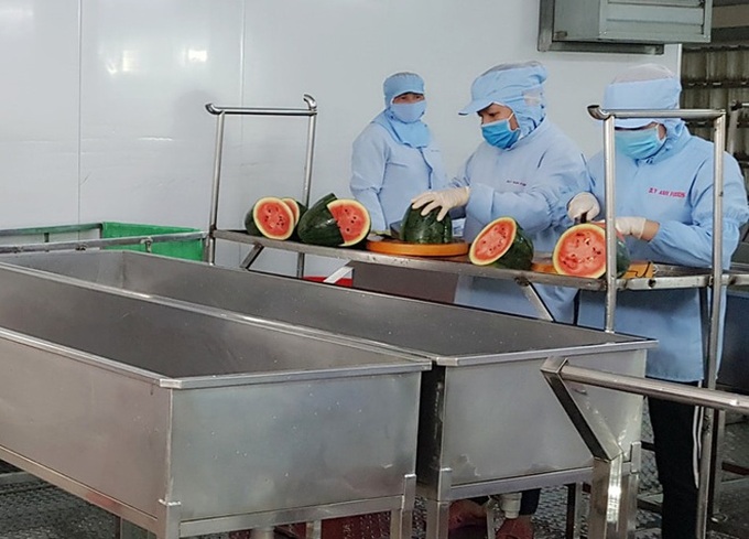 Dịch Covid-19: Xuất hiện bún dưa hấu siêu lạ, vừa ra lò đã xuất khẩu sang Hàn Quốc - Ảnh 1. Dịch Covid-19: Xuất hiện bún dưa hấu siêu lạ, vừa ra lò đã xuất khẩu sang Hàn Quốc - Ảnh 1.