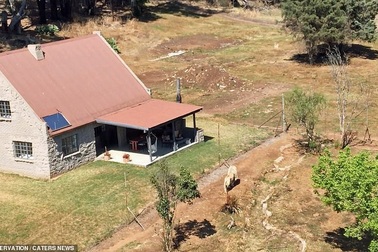 Nhà nghỉ nằm trơ trọi giữa khu đất trống với đàn sư tử