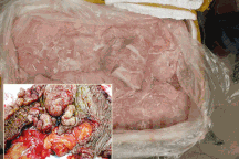 Những chiêu trò kinh hoàng biến thịt trâu bẩn thành đặc sản