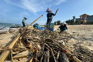 Lượng rác khổng lồ nghi từ các tỉnh miền Bắc đổ vào bờ biển Quảng Bình