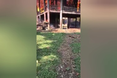 Video cháy nhà sàn vì đốt lửa sưởi ấm cho trâu bò