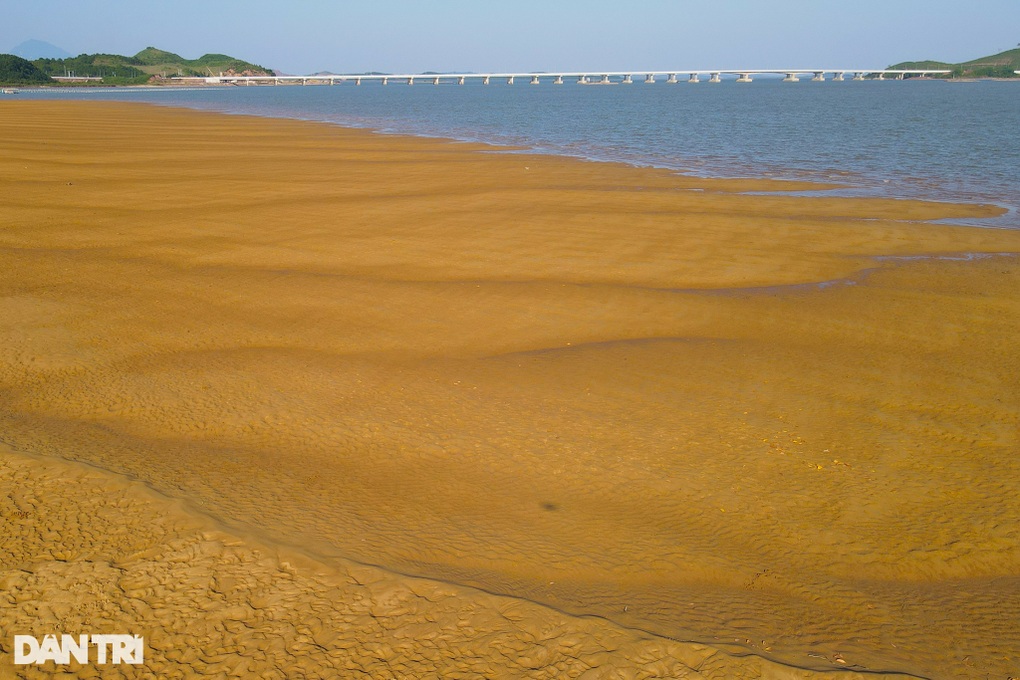 Lướt sóng, chiêm ngưỡng Mũi Lòng Vàng độc đáo giữa biển khơi ở Quảng Ninh - 3 Lướt sóng, chiêm ngưỡng Mũi Lòng Vàng độc đáo giữa biển khơi ở Quảng Ninh - 3