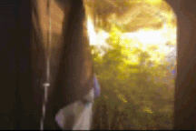 Truy tố người Nga trồng cần sa trong phòng ngủ ở Bình Thuận