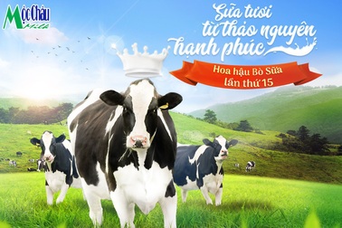 Hành trình vượt khó trong thị trường sữa Việt Nam 2018