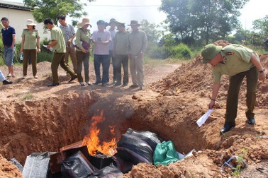 Quảng Bình: Tiêu hủy trên 45 ngàn bao thuốc lá lậu