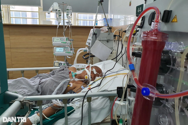 Bác sĩ khẩn thiết kêu gọi nhà hảo tâm cứu gia đình ngộ độc nấm rừng