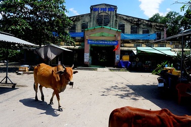 Bỏ hoang chợ tiền tỷ, tiểu thương "ôm" vỉa hè kiếm sống