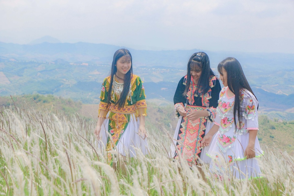 Thiếu nữ HMông khoe sắc xinh đẹp bên đồi cỏ tranh trắng muốt Đắk Nông - 6 Thiếu nữ HMông khoe sắc xinh đẹp bên đồi cỏ tranh trắng muốt Đắk Nông - 6