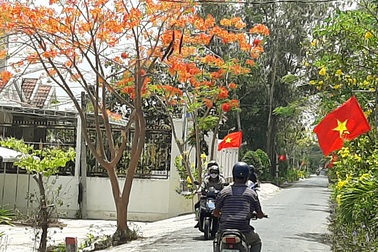 Ấn tượng những con đường hoa nông thôn mới kiểu mẫu ở Sóc Trăng
