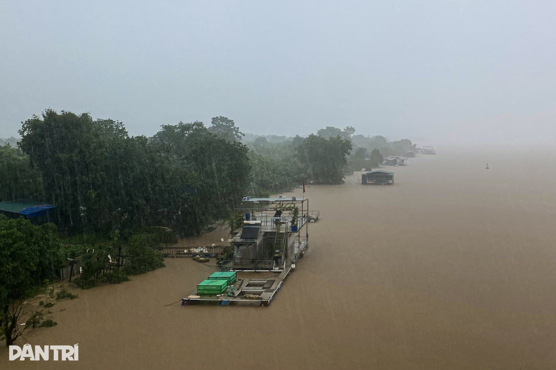 Nước sông Hồng lên cao, cô lập bãi giữa, ngập trắng hoa màu - 2